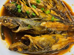 红烧昂刺鱼-红灯笼龙凤饭店(宁波老字号店)