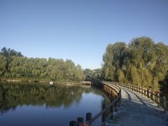 -沈阳鸟岛