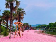 -苏州太湖西山岛开心农场