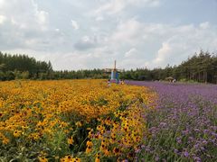 -北纬44度·金珠花海休闲农业旅游景区