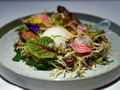 -Oyster Talks 四度蚝法餐厅