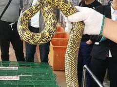 -荔城生鲜盛宴(番禺旗舰店)