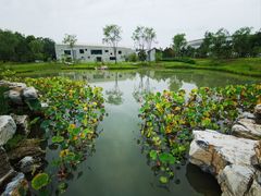 -海淀公园