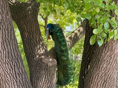 -J Create城市露营咖啡·简餐·宠物(上海动物园店)