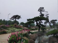 -罗红摄影艺术馆