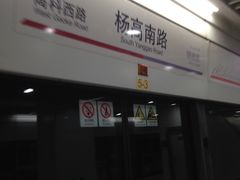 -杨高南路(地铁站)