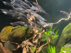 -太平洋海底世界