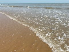 -日照海滨国家森林公园