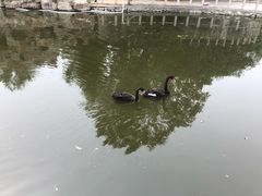 -石家庄市动物园