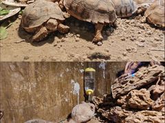 -蓬莱欧乐堡海洋极地世界