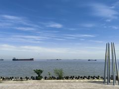 -上海滨江森林公园