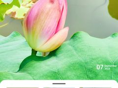 -北京国际鲜花港