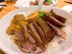 -陈鹏鹏潮汕菜(宝安机场T3航站楼店)