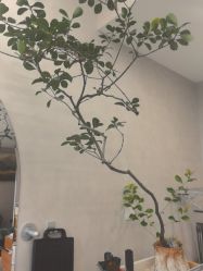 -艺鑫发型工作室YX·HAIR STUDIO