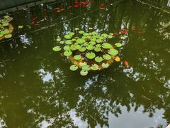 -林海公园