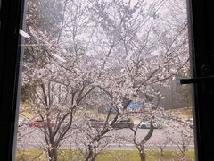 -同济大学(嘉定校区)