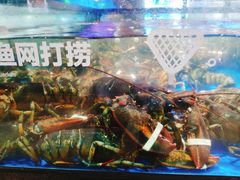 -盒马鲜生(馥邦国际店)