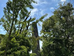 -上海佘山国家森林公园天马山园