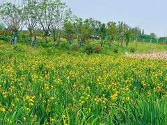 -两河城市森林公园