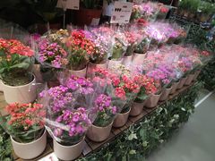 -IKEA宜家家居(南京商场)
