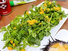 -海胆小馆(东北水饺·春柳店)