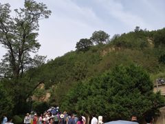 -延安杨家岭革命旧址