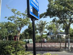 -春花秋色城市公园