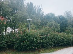 -滆湖低碳生态公园