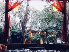 -西安国际创新人才交流中心•药浴温泉