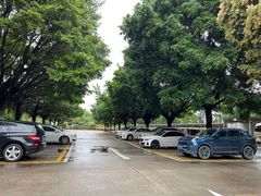 -广东圆玄道观