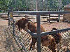 -长白岛森林公园