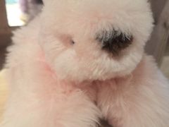 -番茄口袋(上海普陀区环球港店)