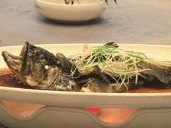 -上海精菜馆(虎踞关店)