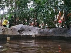 -龙达温泉生态城