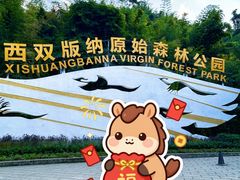 -西双版纳原始森林公园