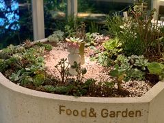 -春树下·树屋花房西餐厅(罍街AS1980店)