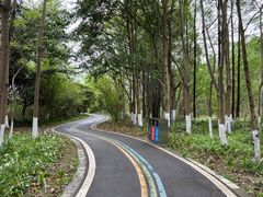 -桤木河湿地公园