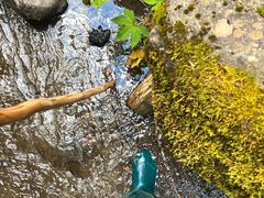 -峡谷浮石林景区