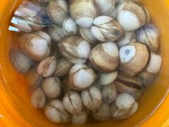 -启东黄金海滩景区