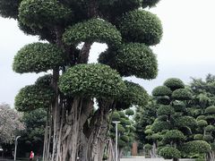 -海花岛旅游度假区