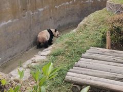 -常州淹城野生动物世界
