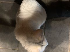 -张记牛肉面馆(天津路店)