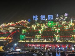 -枇杷园食为鲜火锅(南山店)