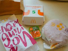 -麦当劳(红旗路店)