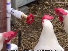 -满天星量贩式KTV(汉阳摩尔城店)
