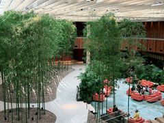 -北京望京凯悦酒店The Lounge大堂酒廊