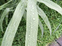 -白鹭湾湿地公园