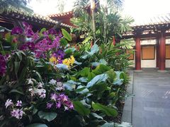 -新加坡佛牙寺龙华院