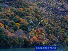 -叠溪松坪沟景区