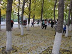 -辽宁大学(崇山校区)